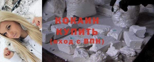 крисы Алексин