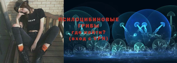 крисы Алексин